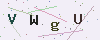 验证码